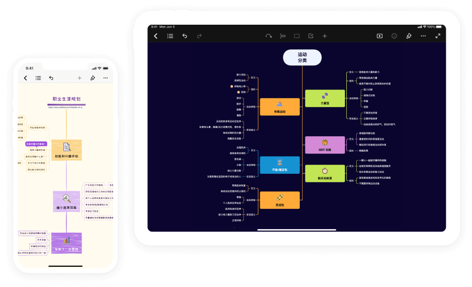 Xmind Pro 桌面版